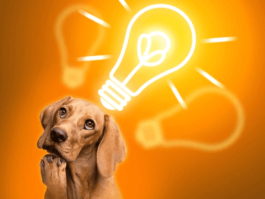 Ideas to return to
